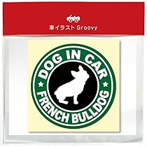 51Rld1+AG+L._AC_UL210_SR210,